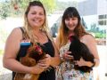 chook girls