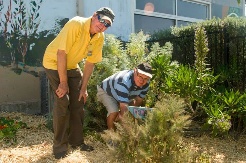 garden volunteers